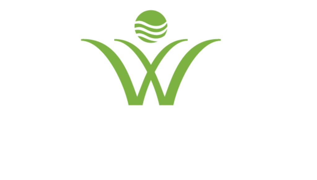 Future-Wave-1024x584